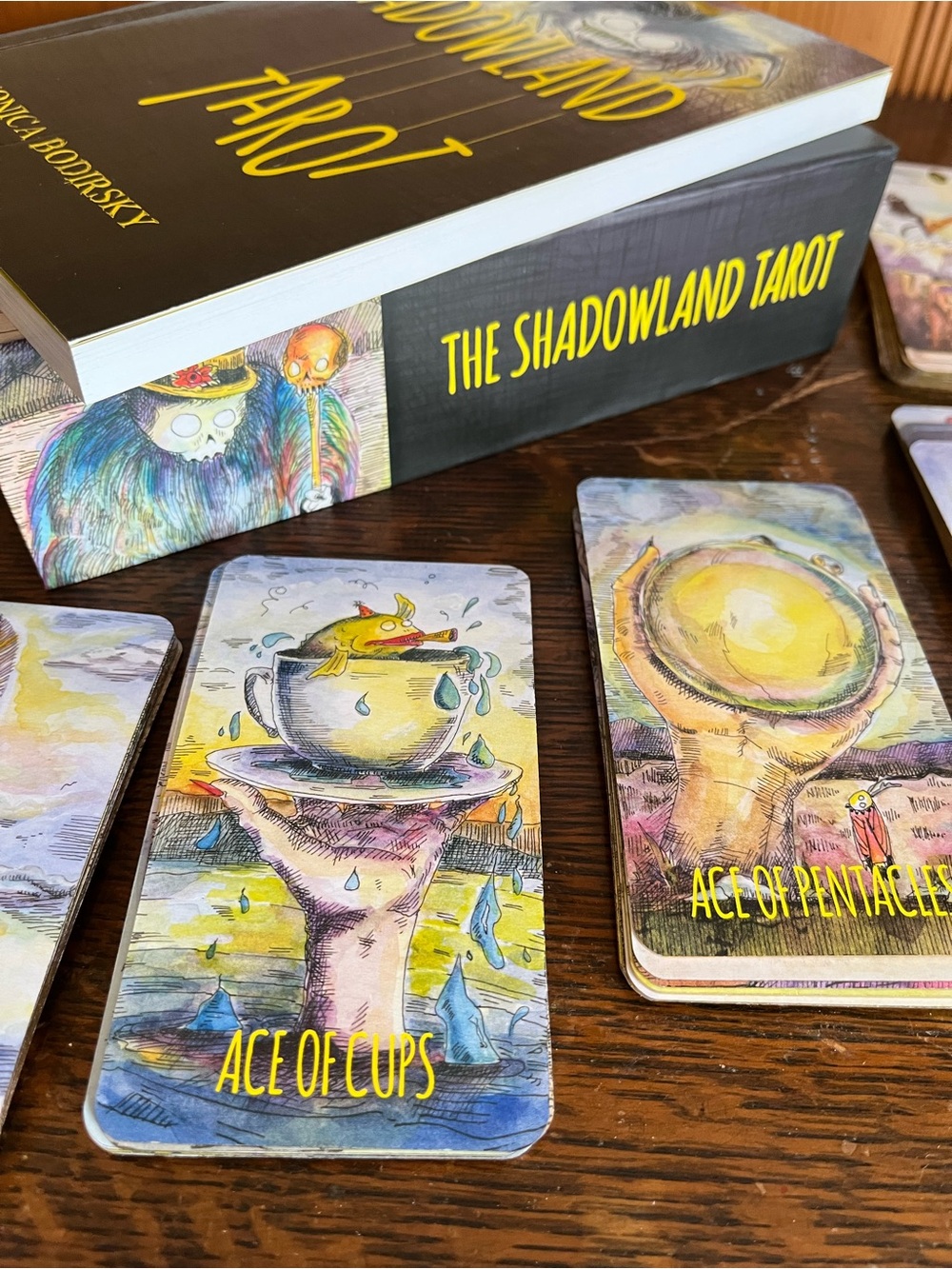 The Shadowland Tarot by Monica Bodirsky Tarot and Book Kit Box set